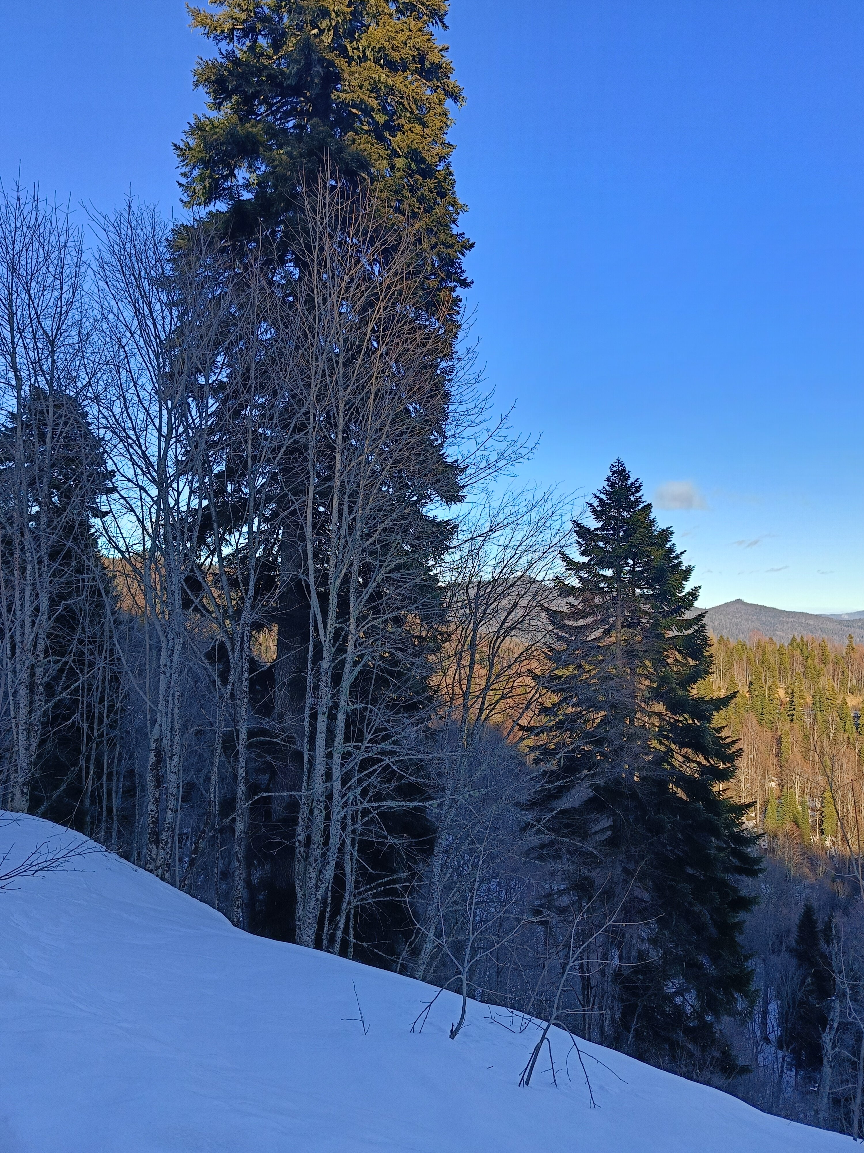 Фото Горное Эхо