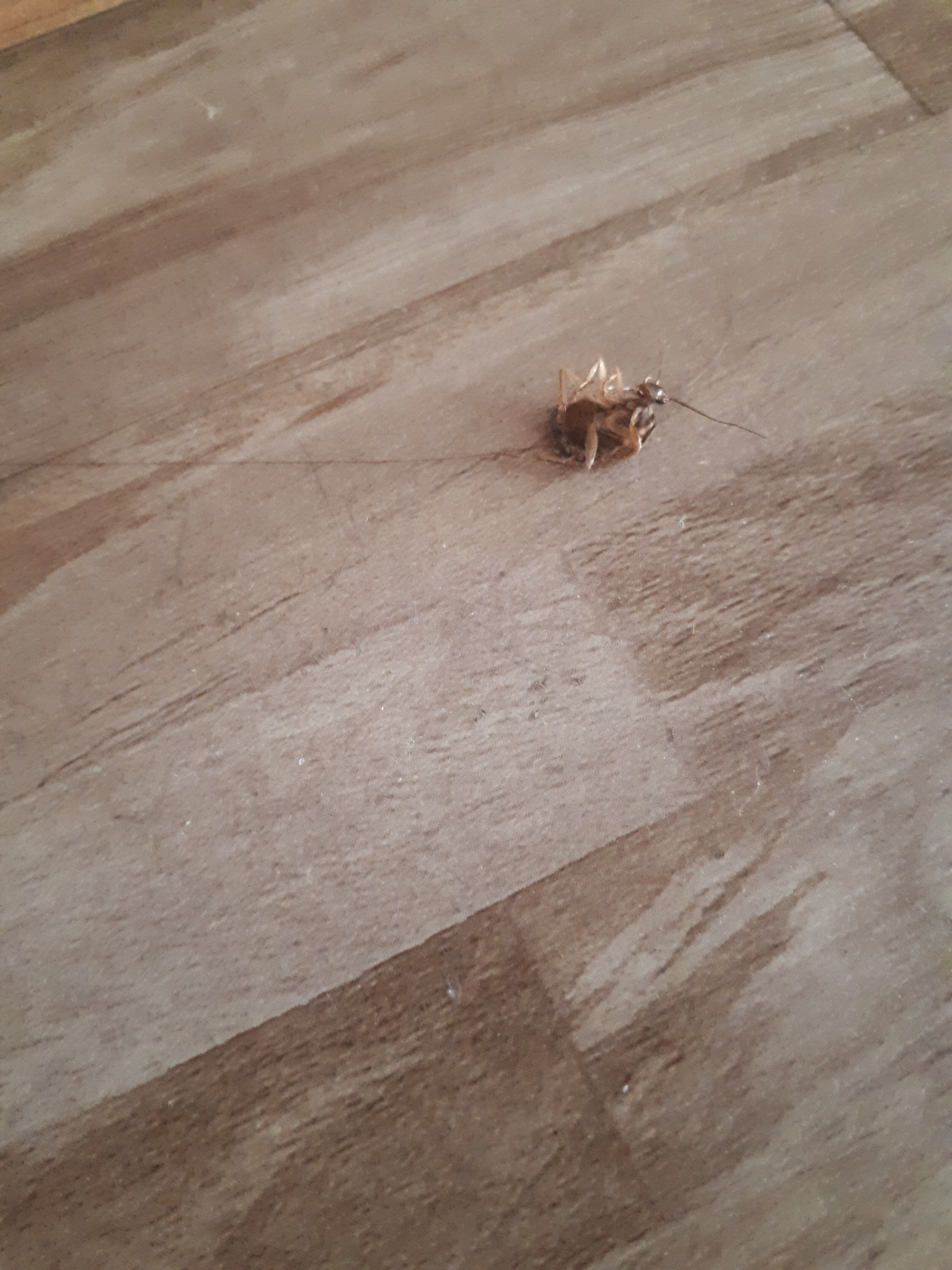 Фото Теремок