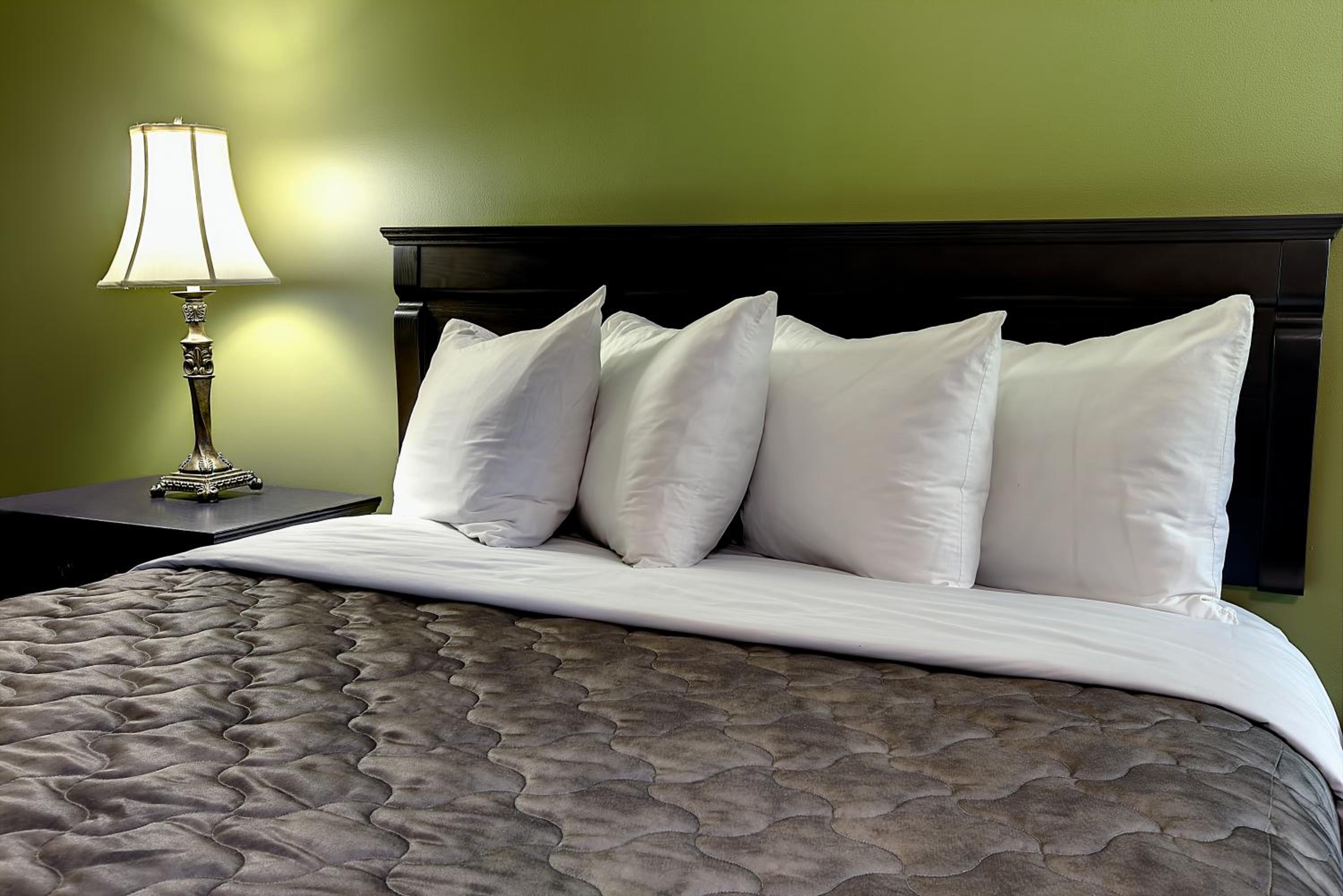 Фото Hotel & Suites Monte-Cristo