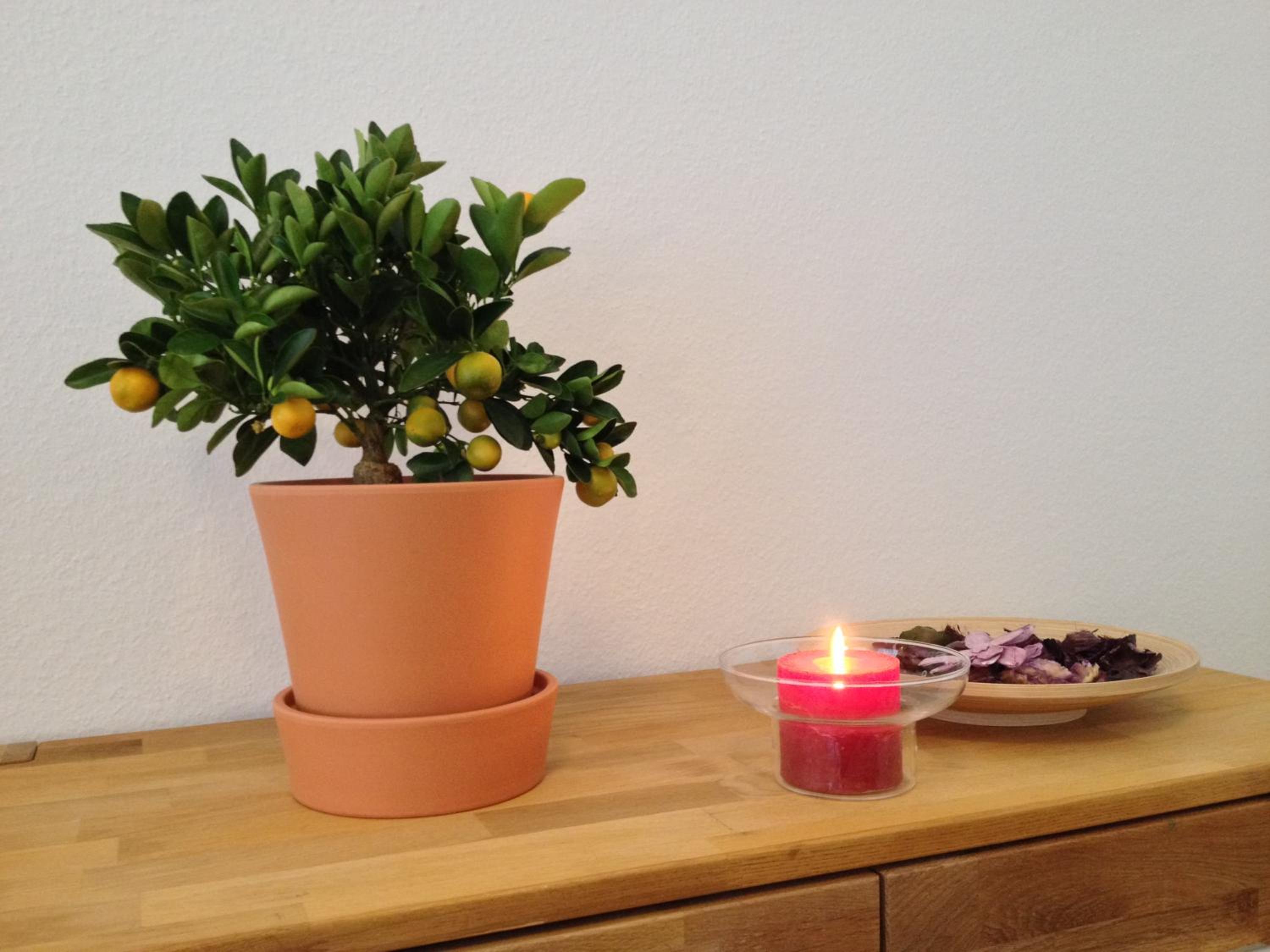 Фото Apartmenthaus Haus Feuerbach