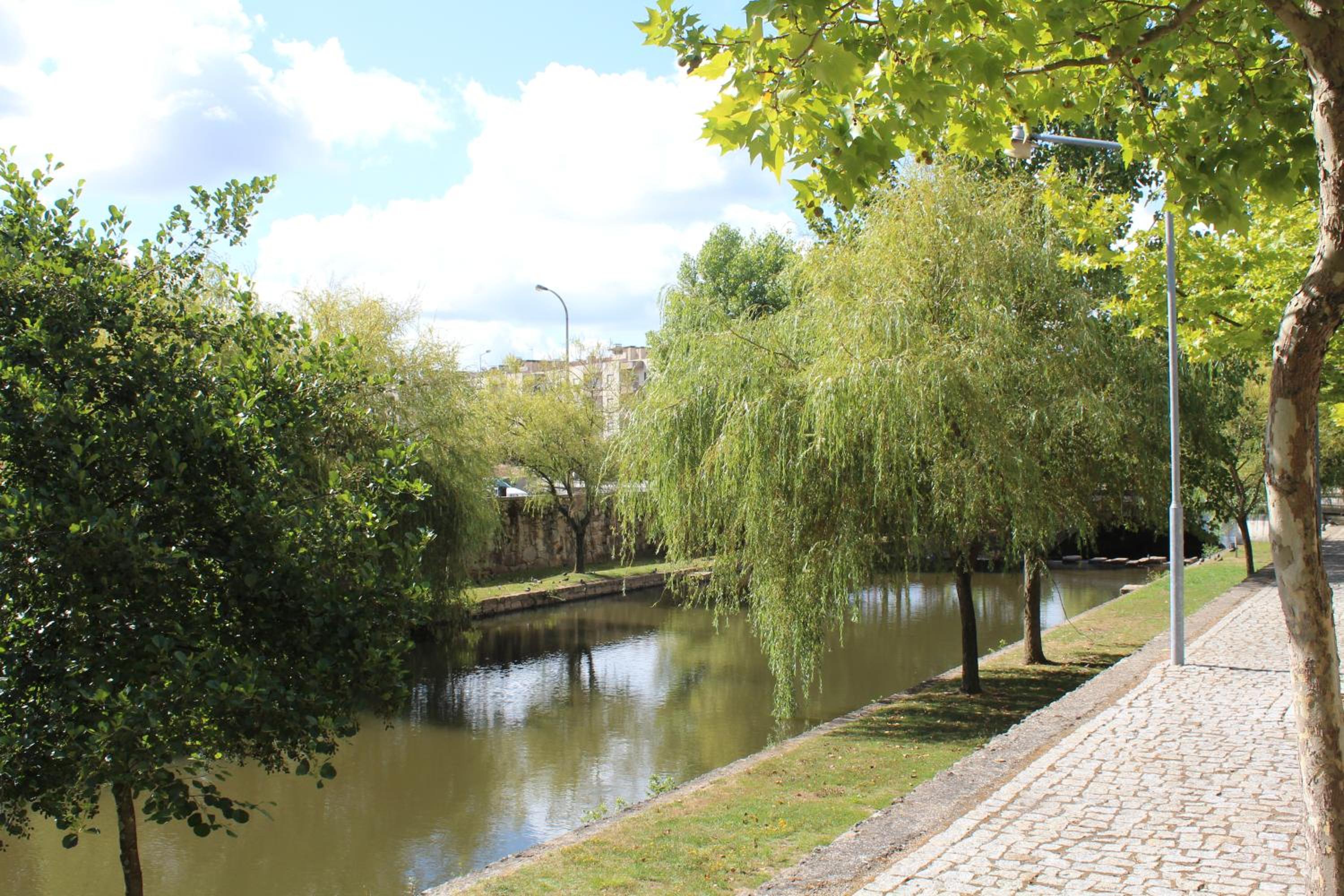 Фото Golden Tulip Sao Joao Da Madeira Hotel