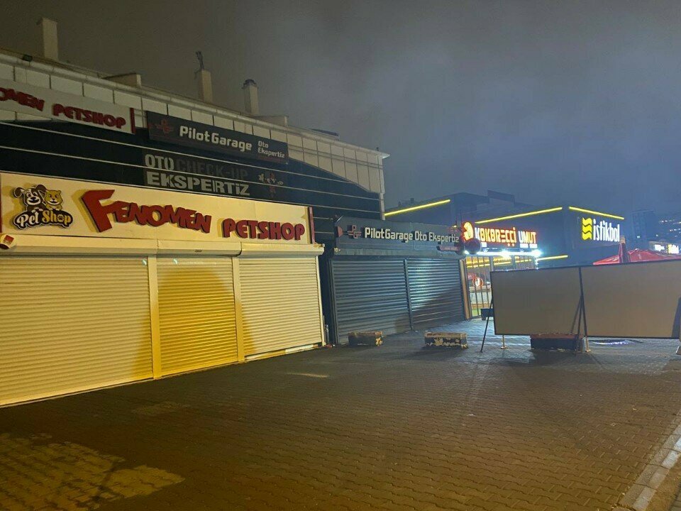 Pet shop Phenomenon Pet Shop - Pet Farm - Cat Dog Sales Center, Ankara, photo