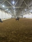 Equestrian sports complex Sozvezdiye (Pervomayka Hamlet, Klubnaya Street, 3), horse riding