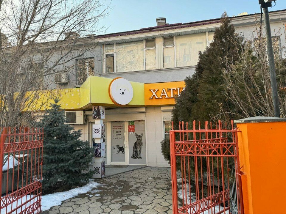 Expertise Стандарт-ОРД, Chimkent, photo