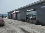 Pro-Avto (derevnya Surovka, Vinogradnaya ulitsa, 1к3), car service, auto repair