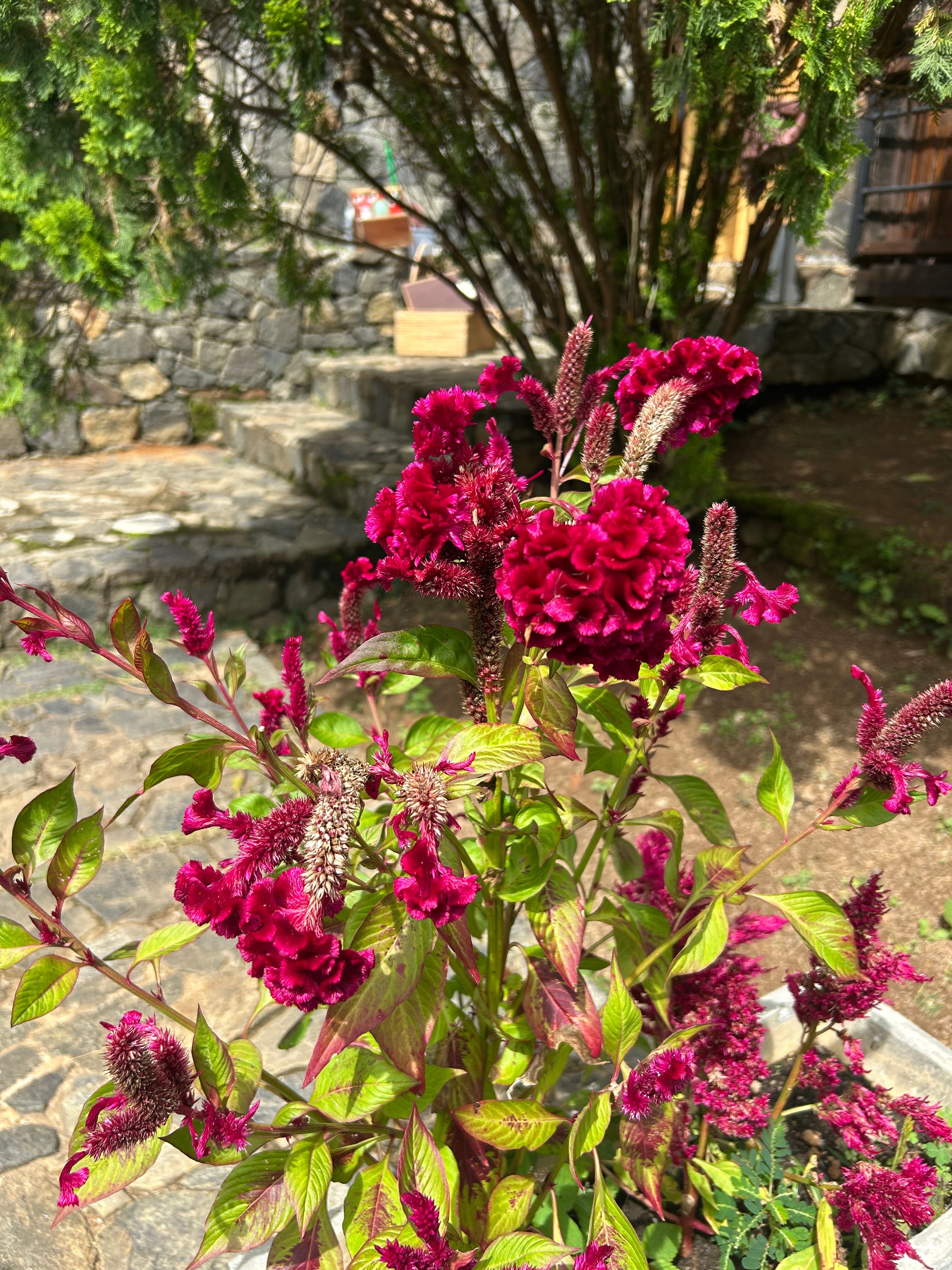 Фото 98 Acres Resort & SPA