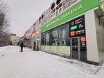 Mangal & Vertel (Tolyatti Street, 44), cafe