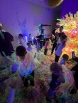 НесКучаевы (posyolok gorodskogo tipa Misaylovo, Polevaya ulitsa, 4), sala de juego
