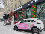 Liana flowers (Abay Avenue, 57/2) ، محل زهور
