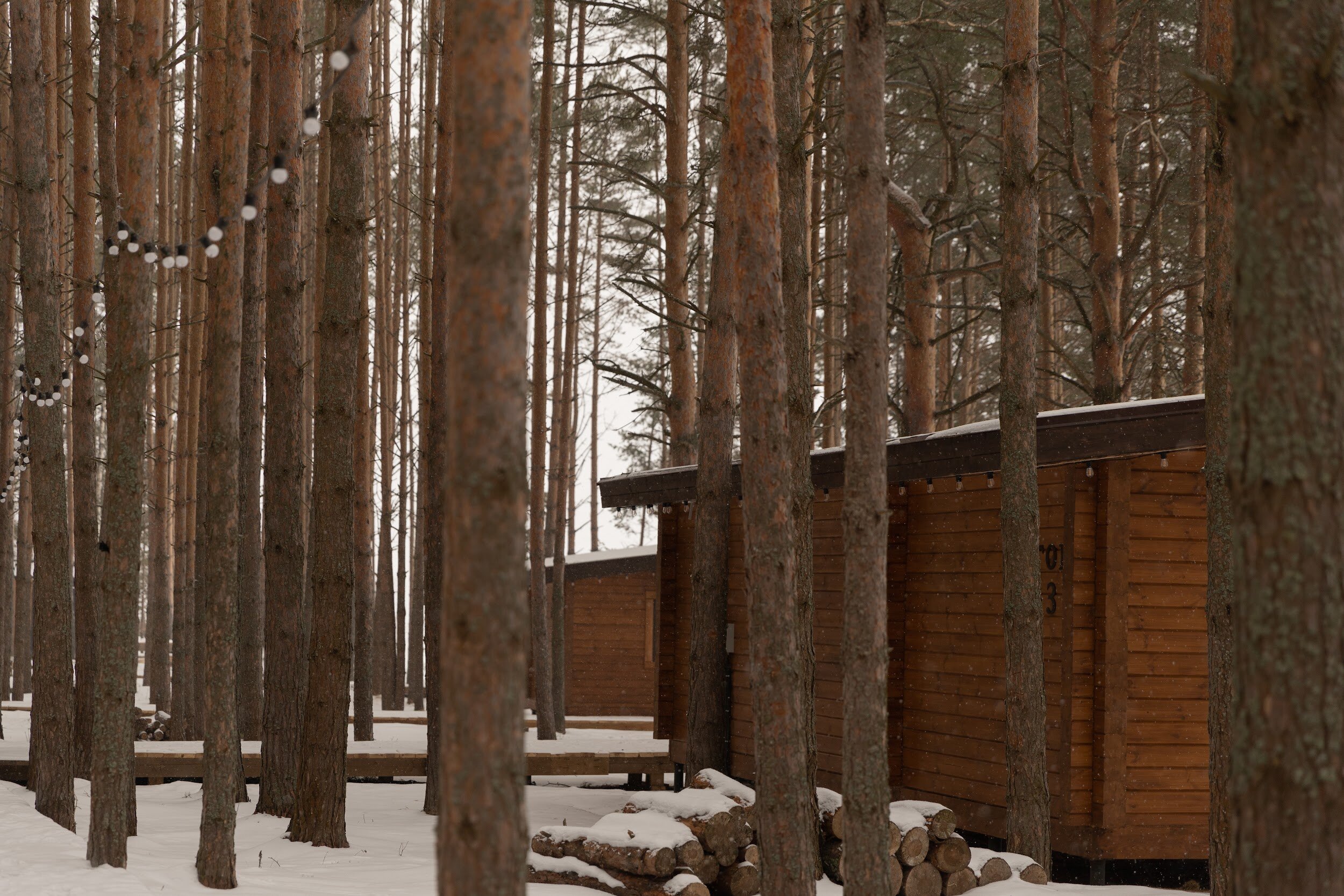 Фото Точка Немо Нижний