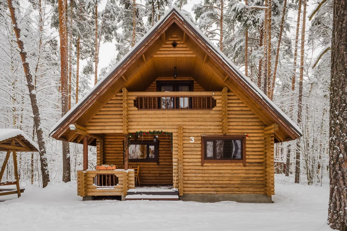Фото Брусника