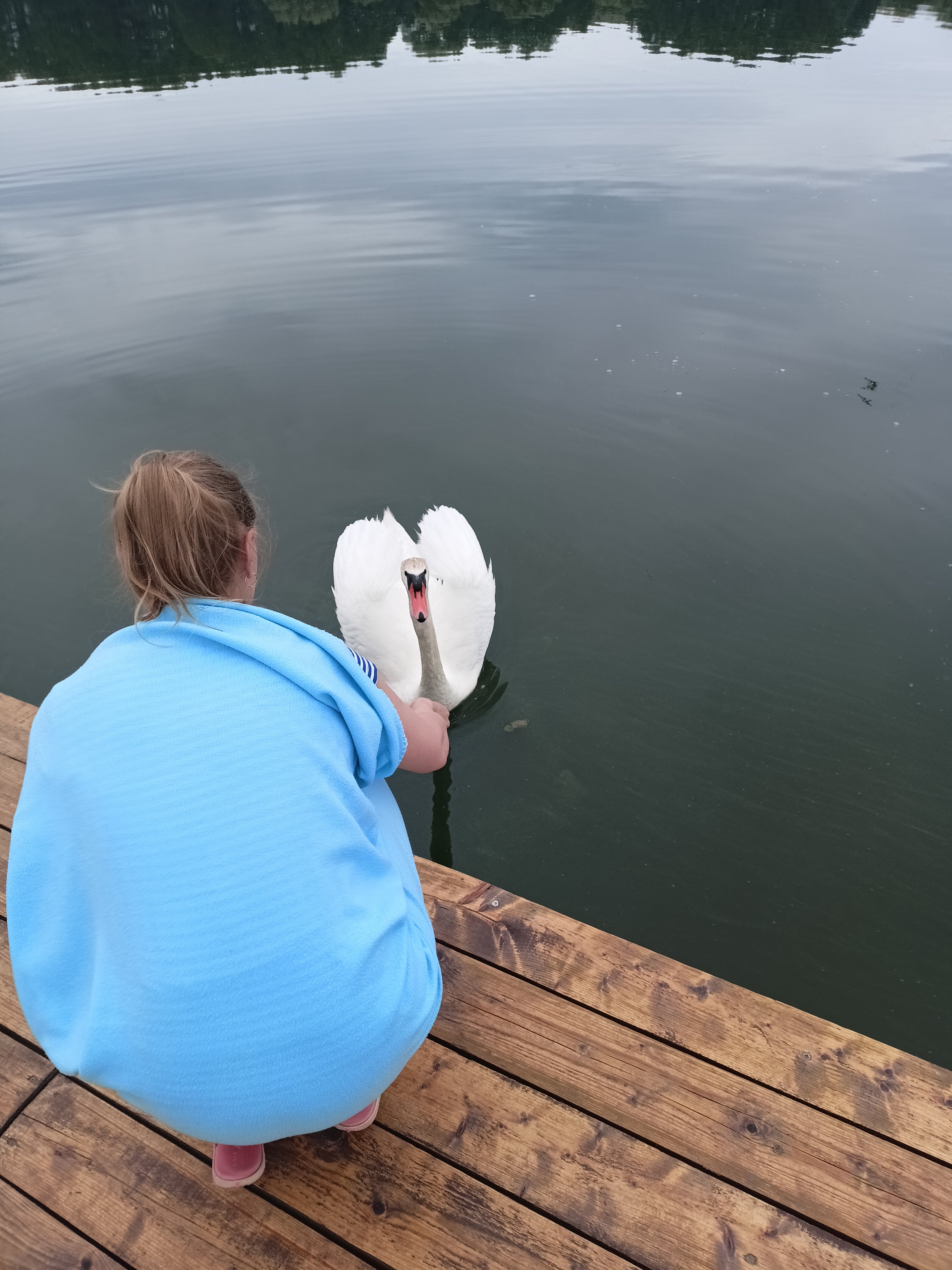 Фото Пильня