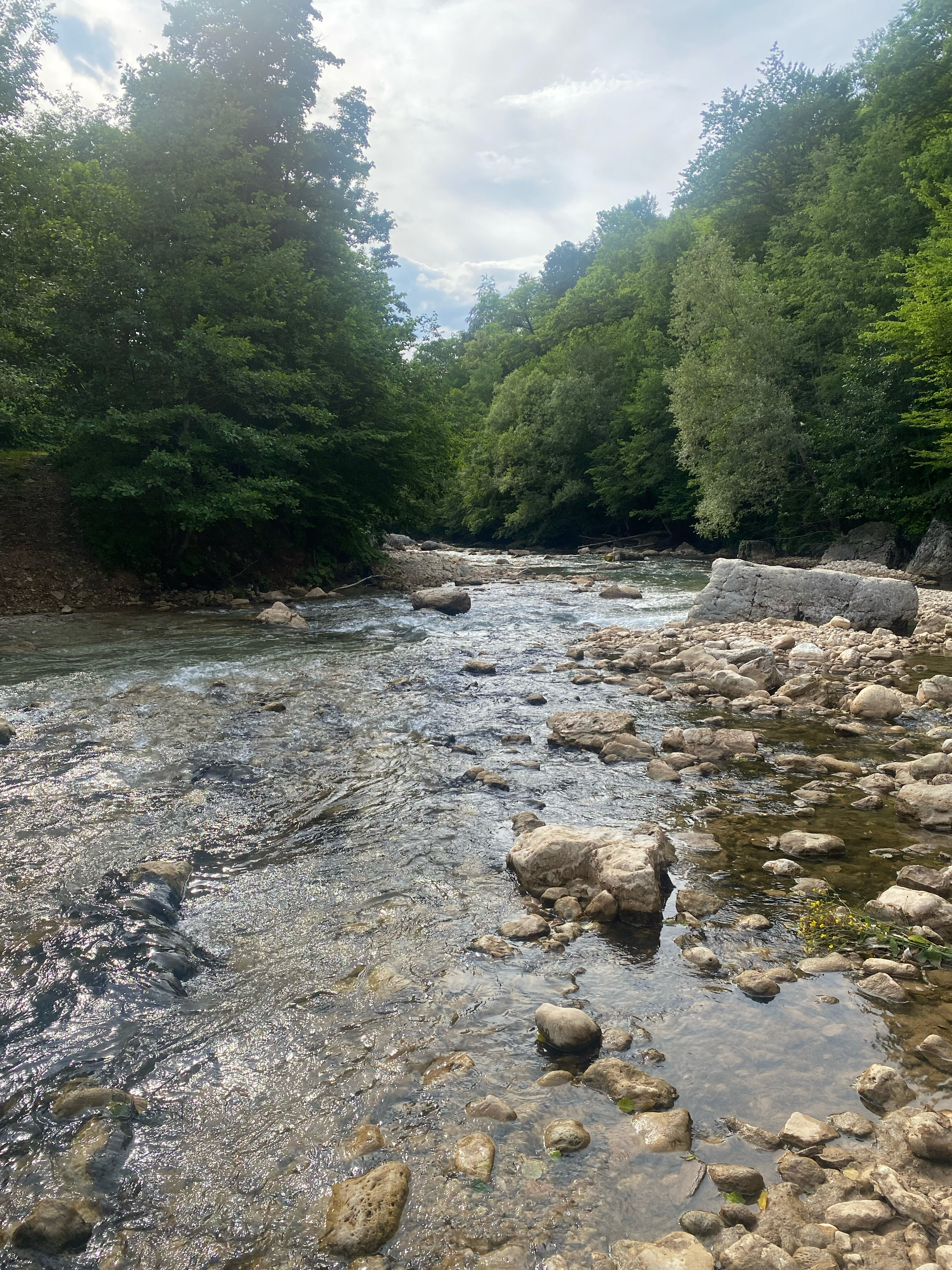 Фото Высокий берег