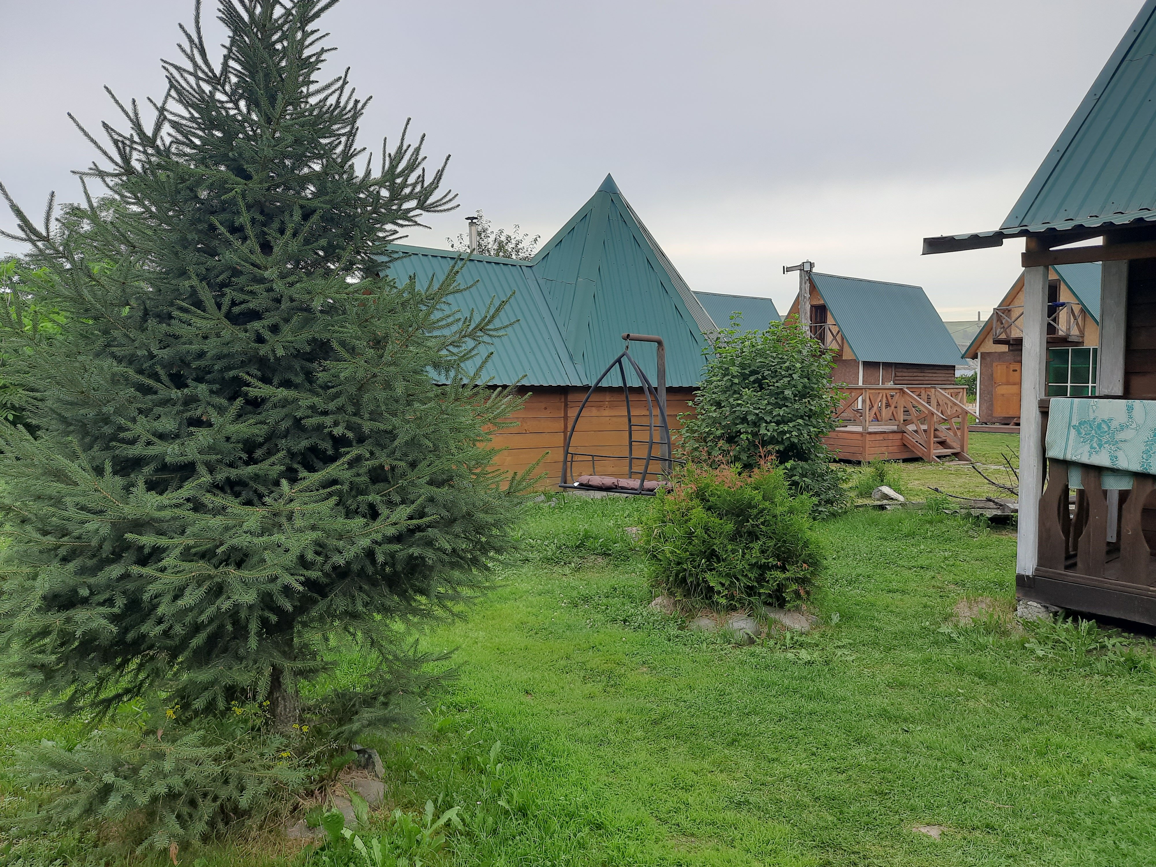 Фото Три Клёна