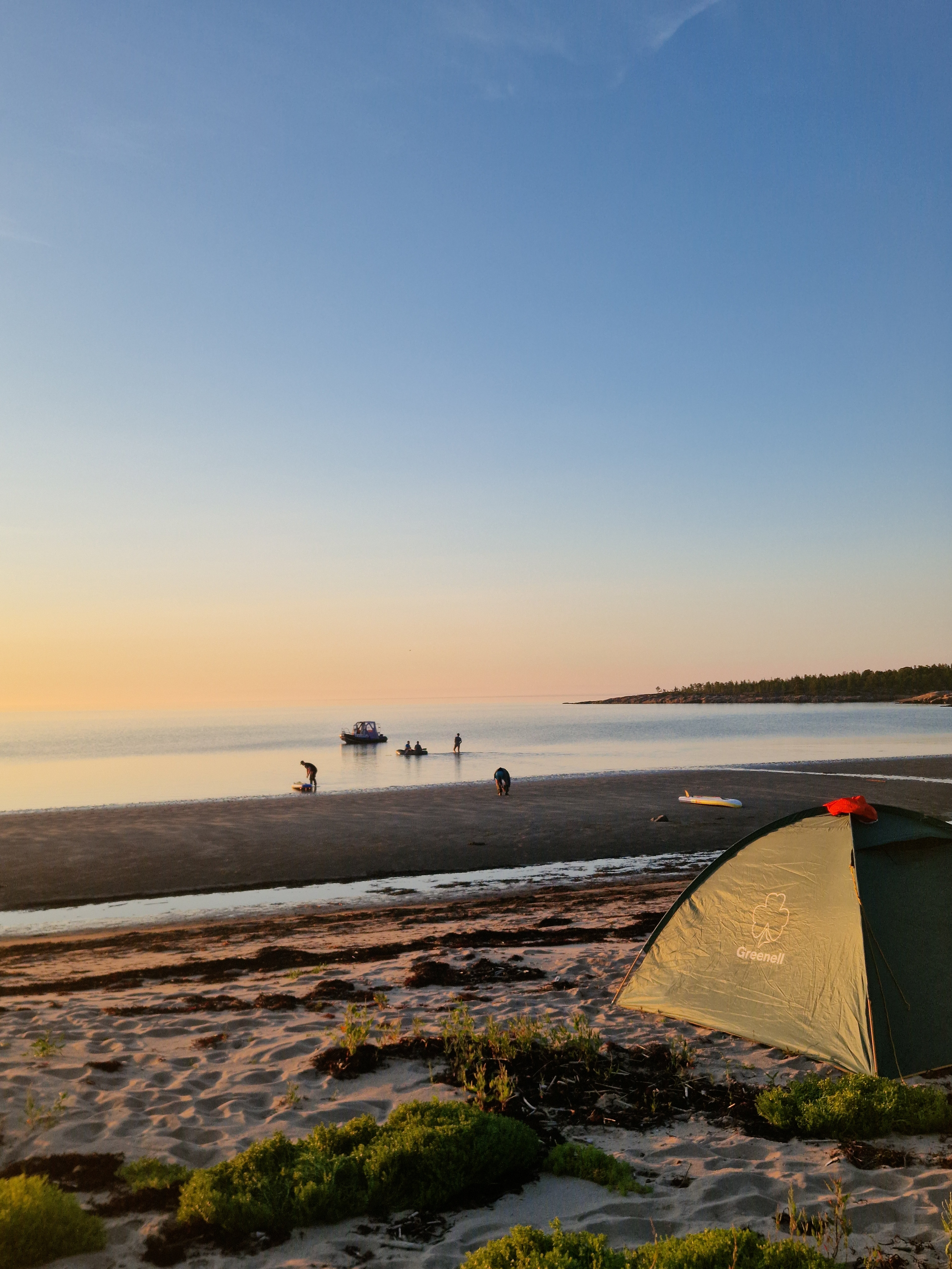 Фото Белый кит