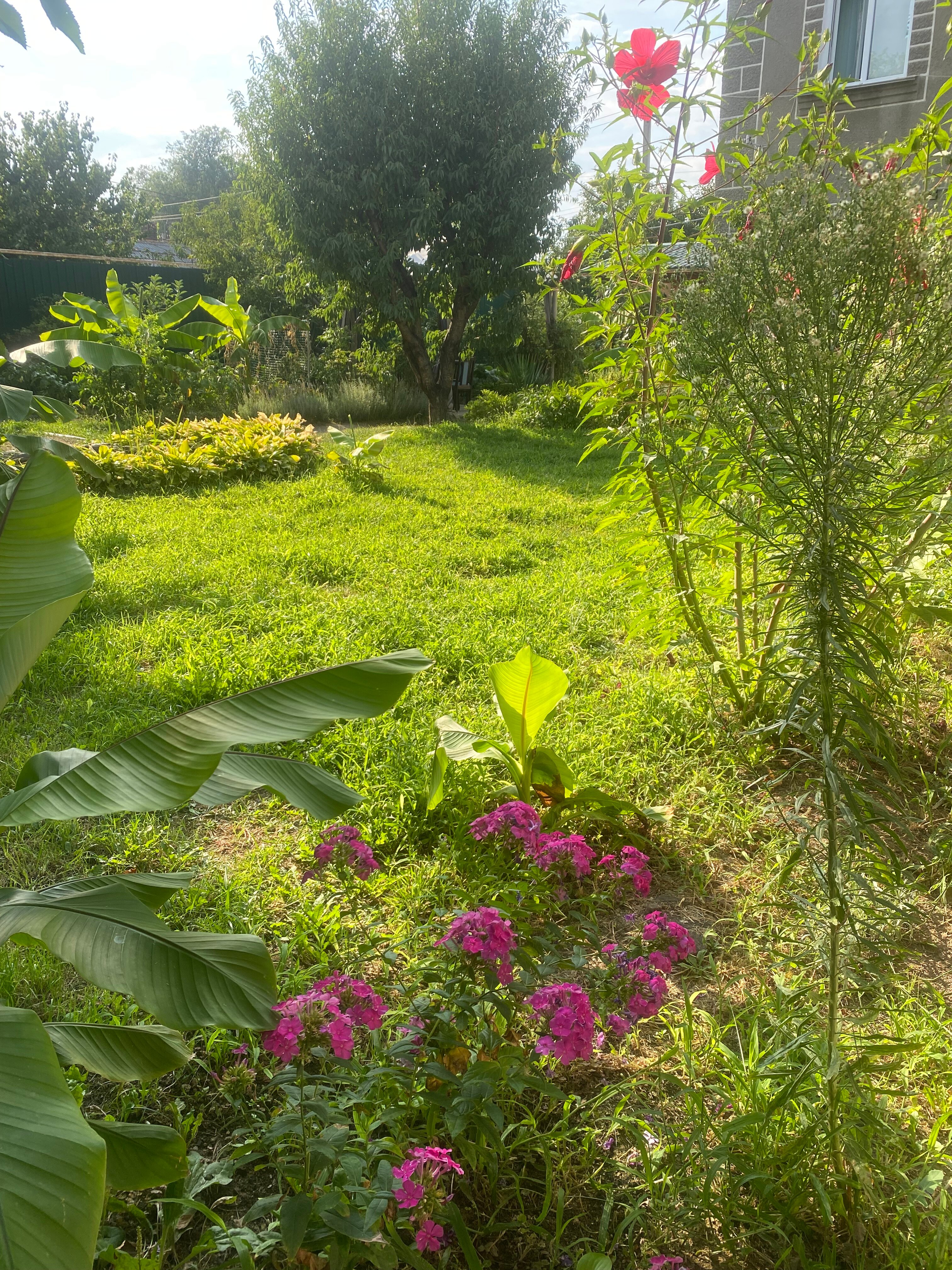 Фото Домики в саду