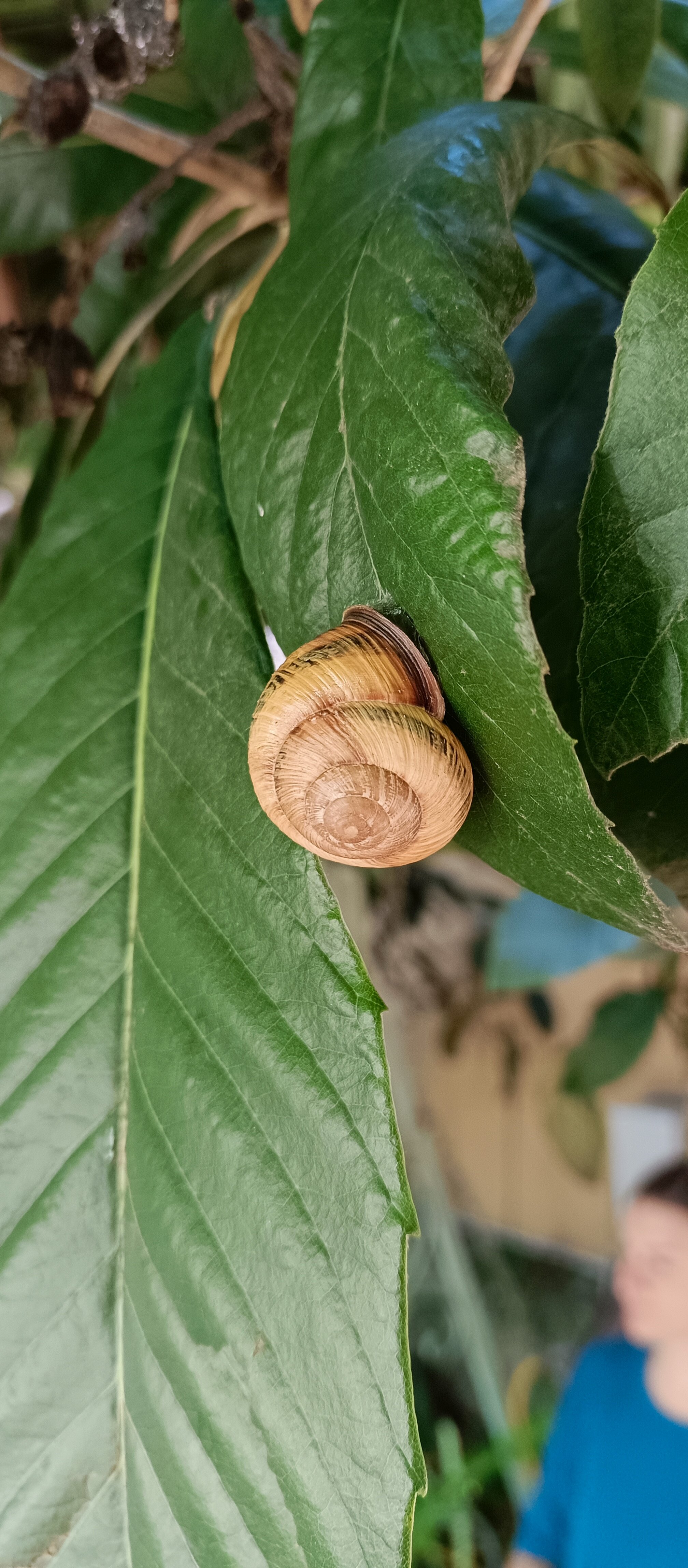 Фото Вилла Дежа Вю