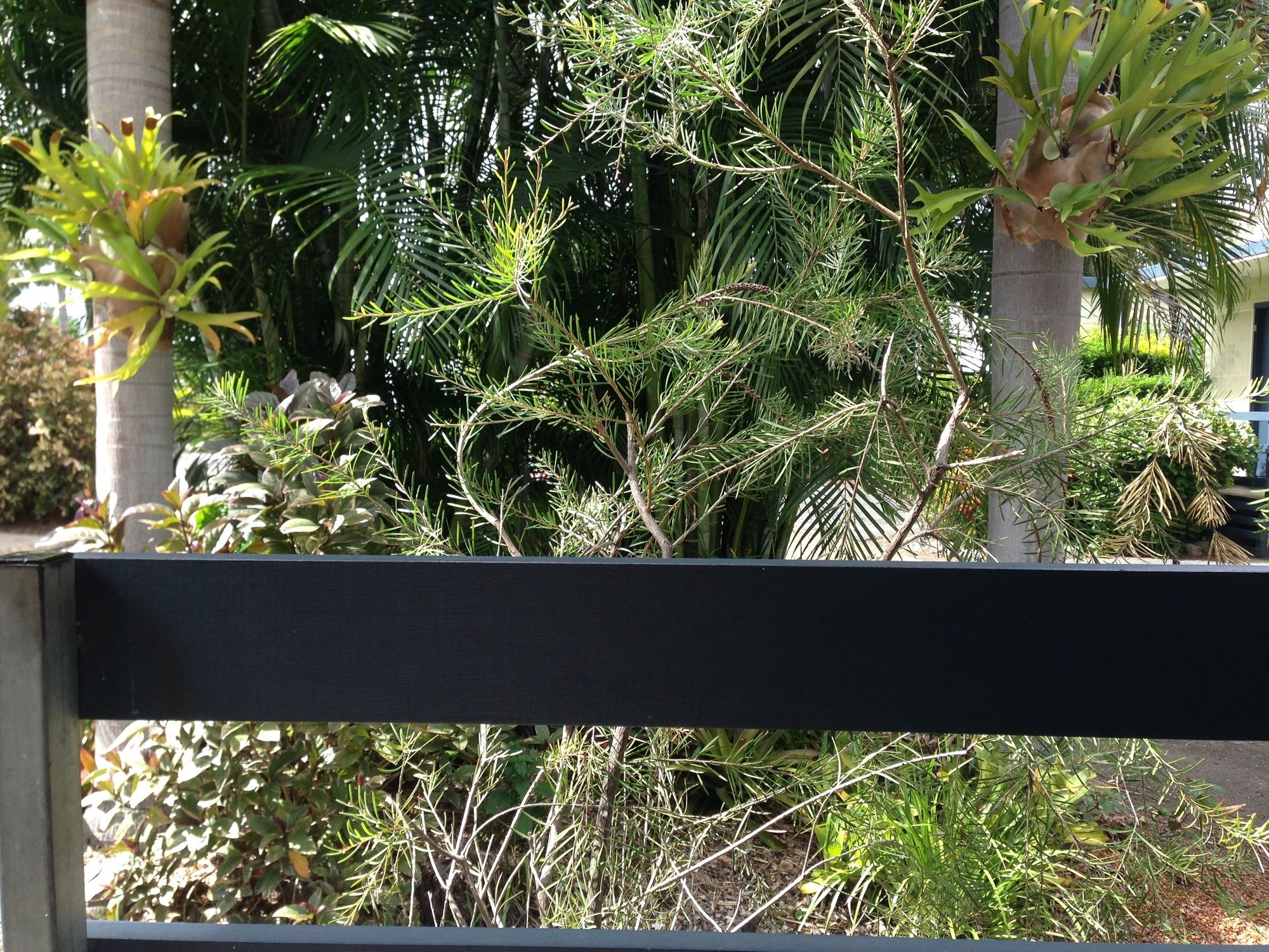 Фото Riverside Tourist Park