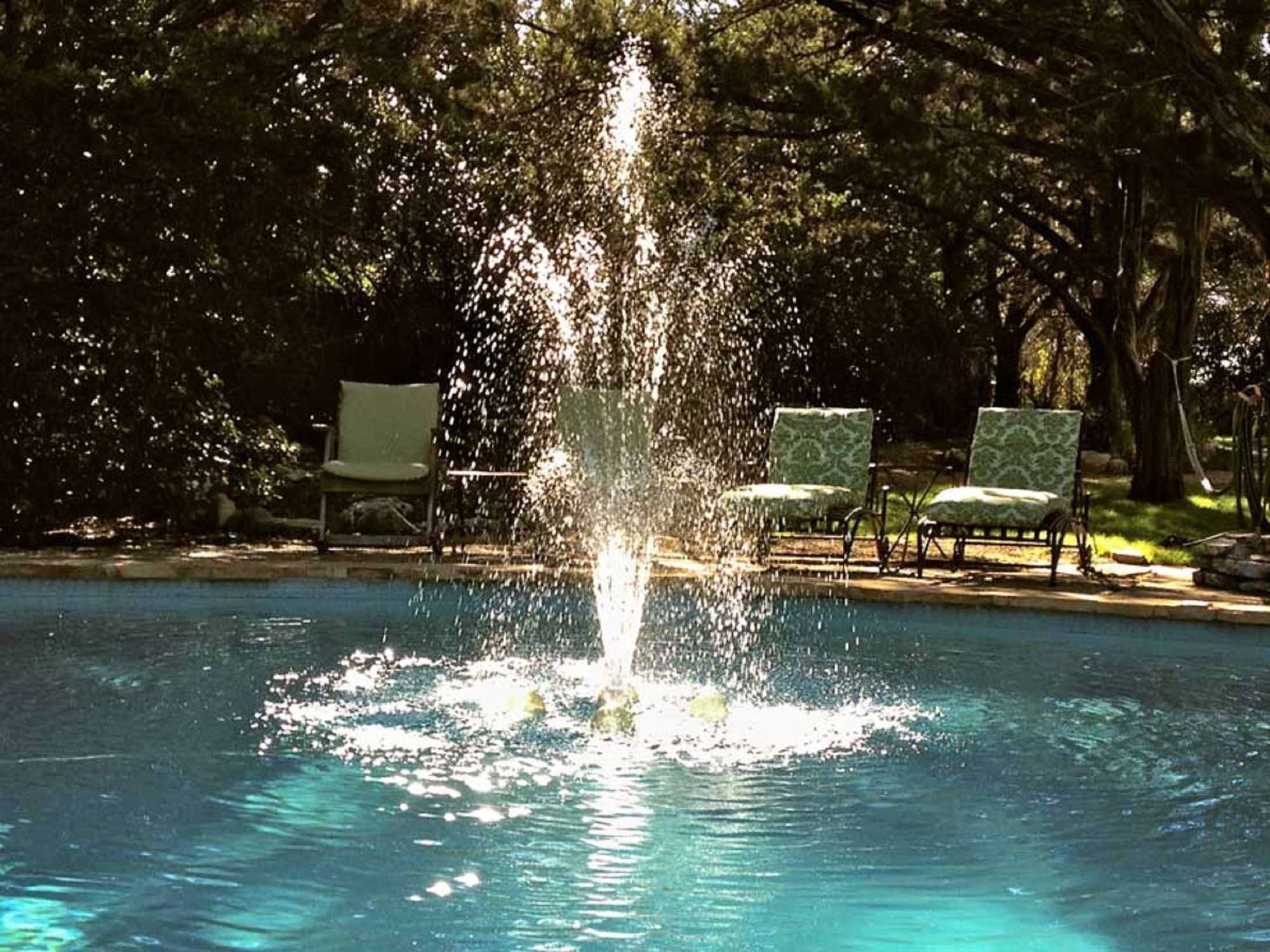 Фото Casa del Sol Bed and Breakfast