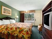 Гостиница Tampa Inn - Near Busch Gardens