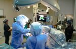 Private Pendik Regional Hospital (Istanbul, Pendik, Dogu Neighborhood, Nevbahar Street, 2), hospital para adultos