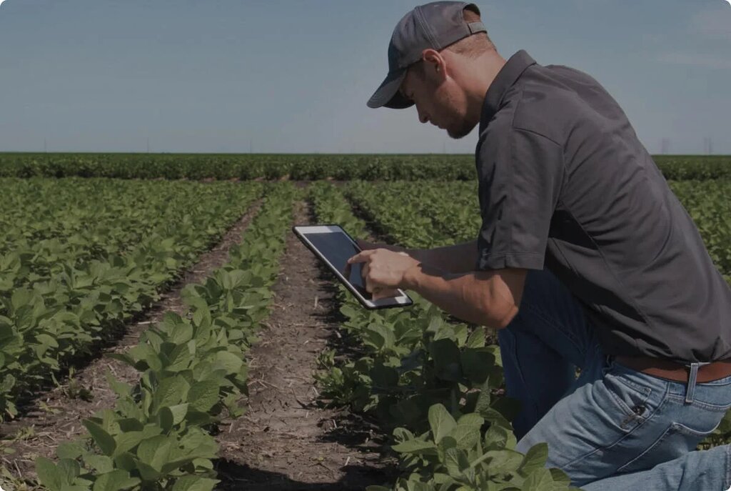 Agricultural enterprise Doktar Technologies, Istanbul, photo