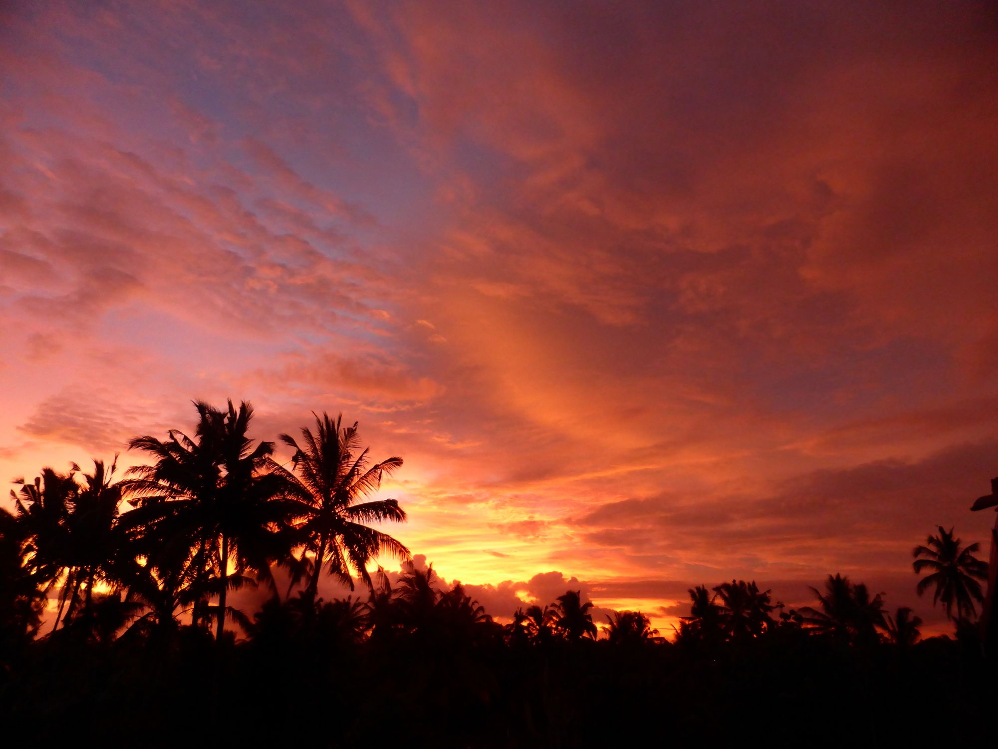Фото Dragonfly Village