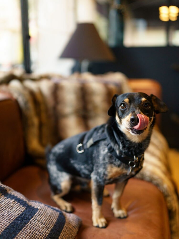 Фото Hotel Clarisse