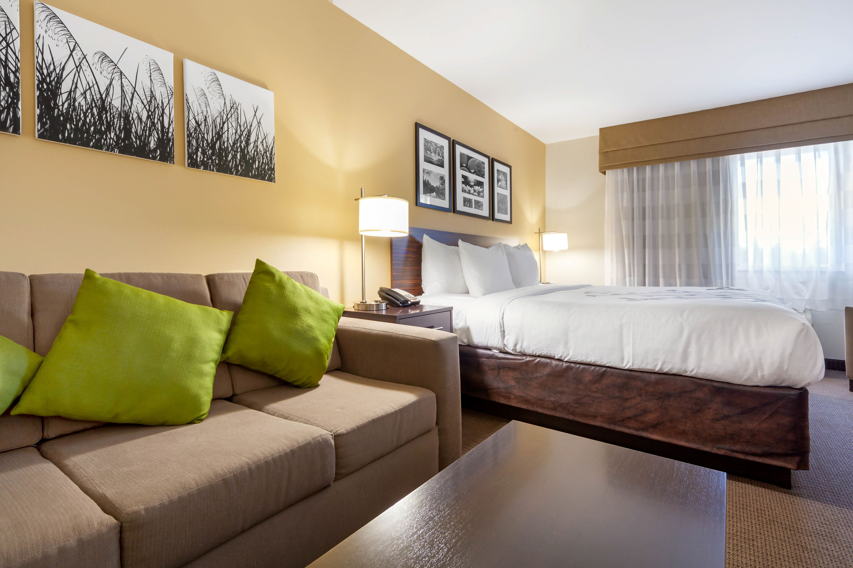 Фото MainStay Suites Williston