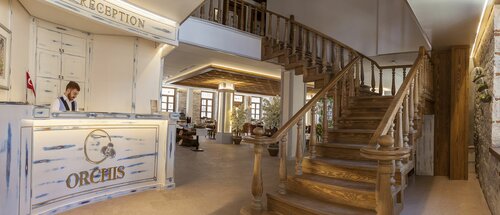 Гостиница Orchis Hotel в Айвалыке