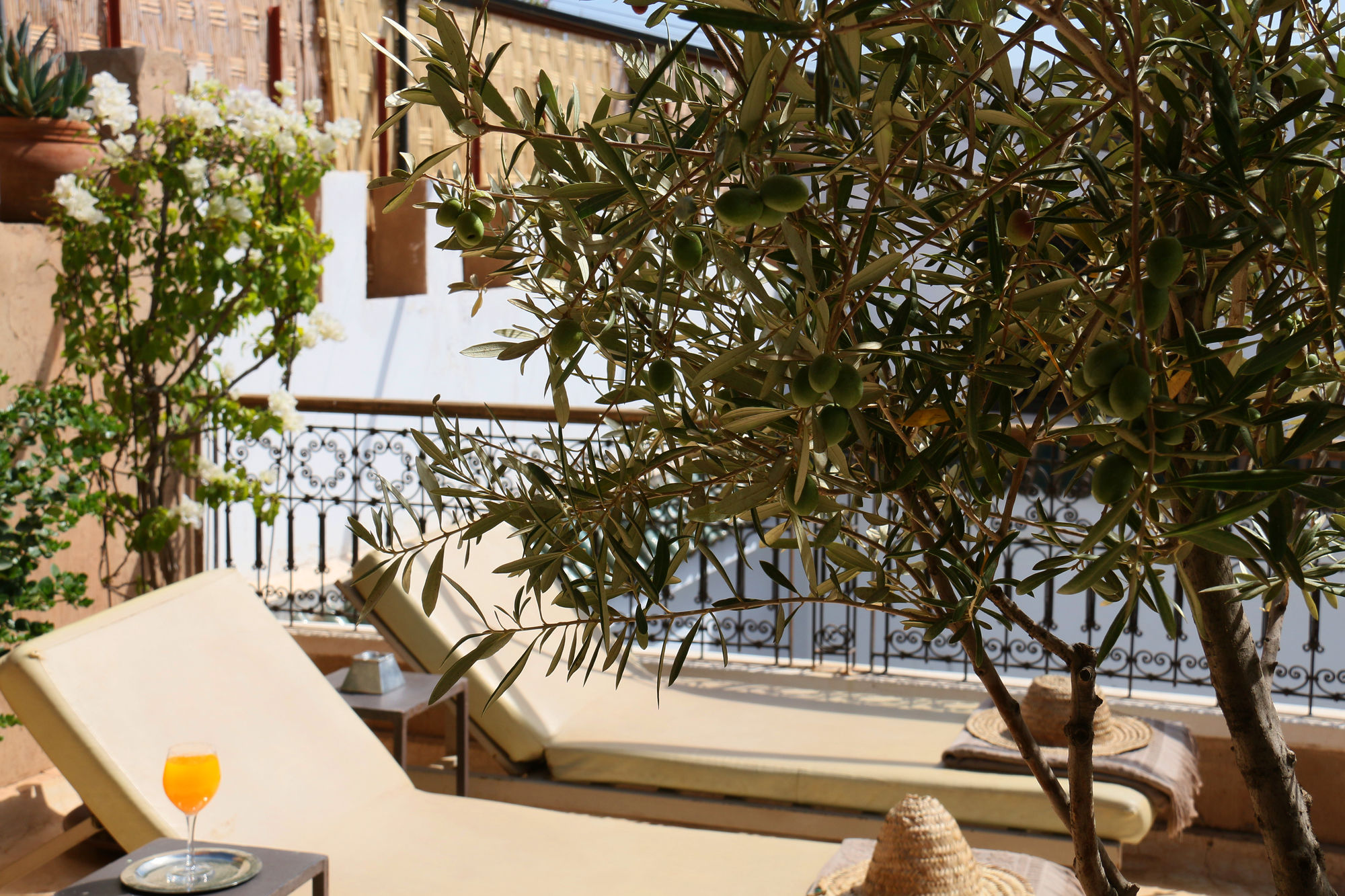 Фото Riad Dar Massai