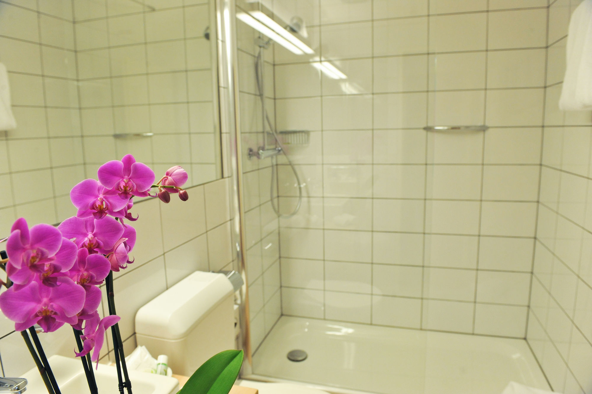 Фото Hotel Des Alpes