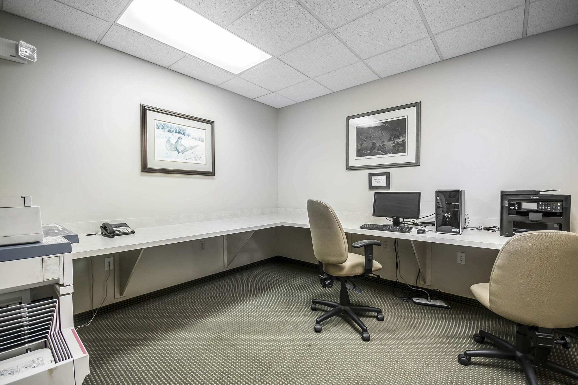 Фото Comfort Inn & Suites