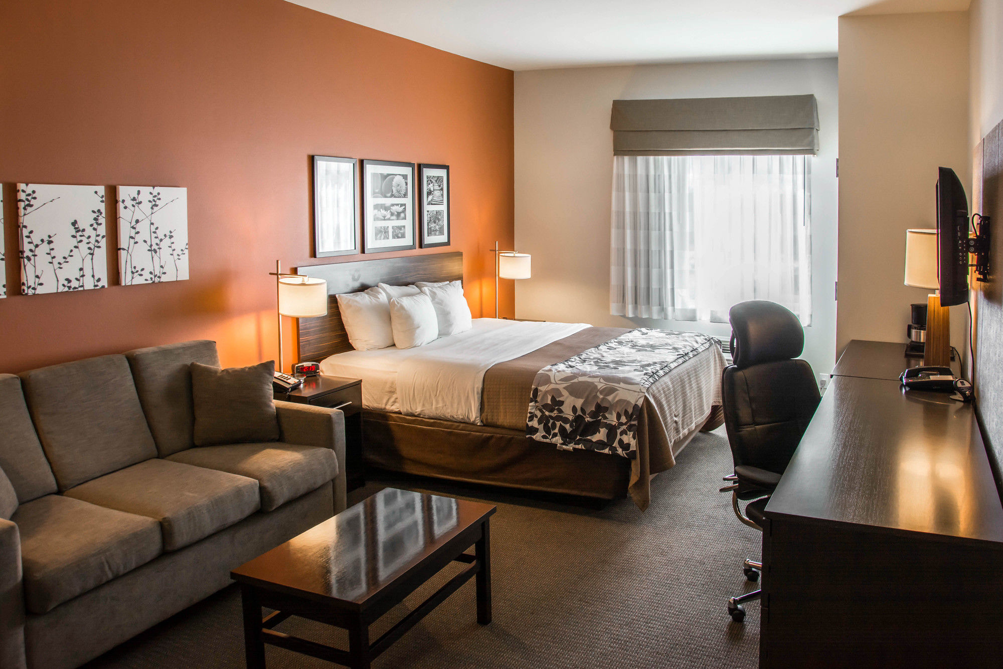 Фото Sleep Inn & Suites Medical Center