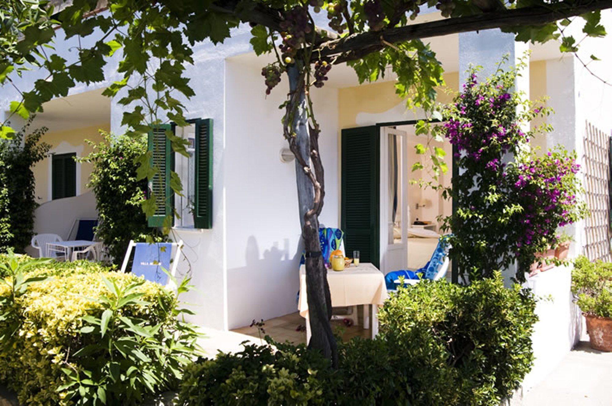 Фото Hotel Villa Melodie