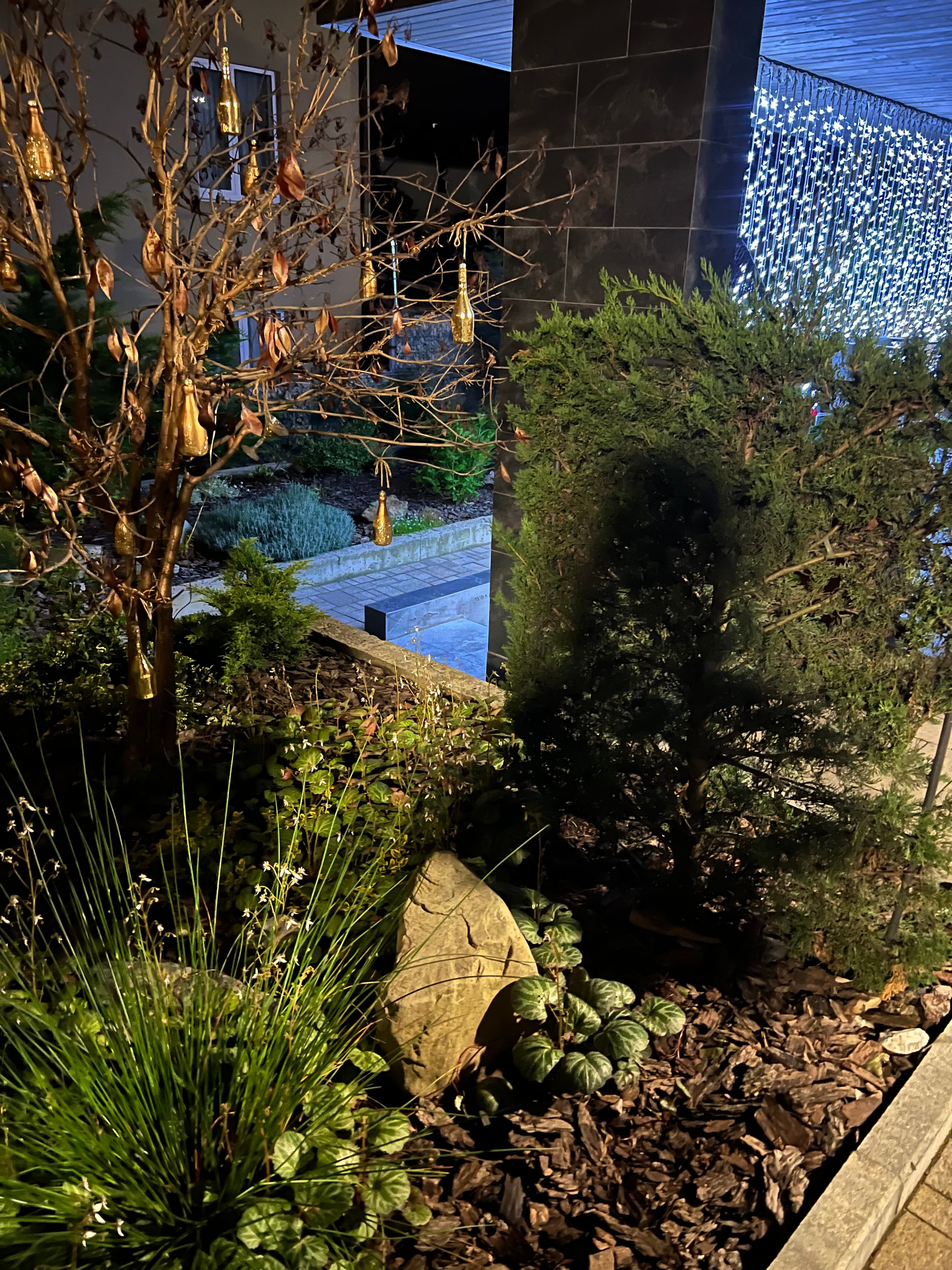 Фото Куб Терра