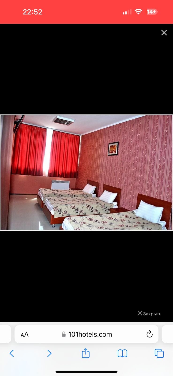 Фото Альбатрос