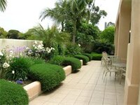 Фото Best Western Plus South Coast Inn