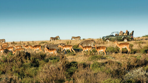 Внешний вид отеля Gondwana Private Game Reserve в Джордже, фото 2
