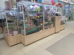 Магазин игрушек (Geroya Rossii Eduarda Belana Street, 10А), toys and games