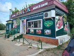 Visa (Áýelbekov kóshesi, 14А) ، محل بقالة