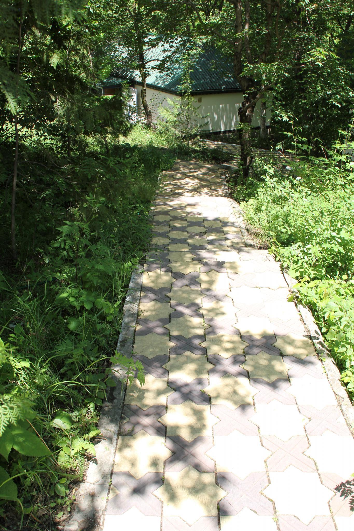 Фото Дубовая Роща