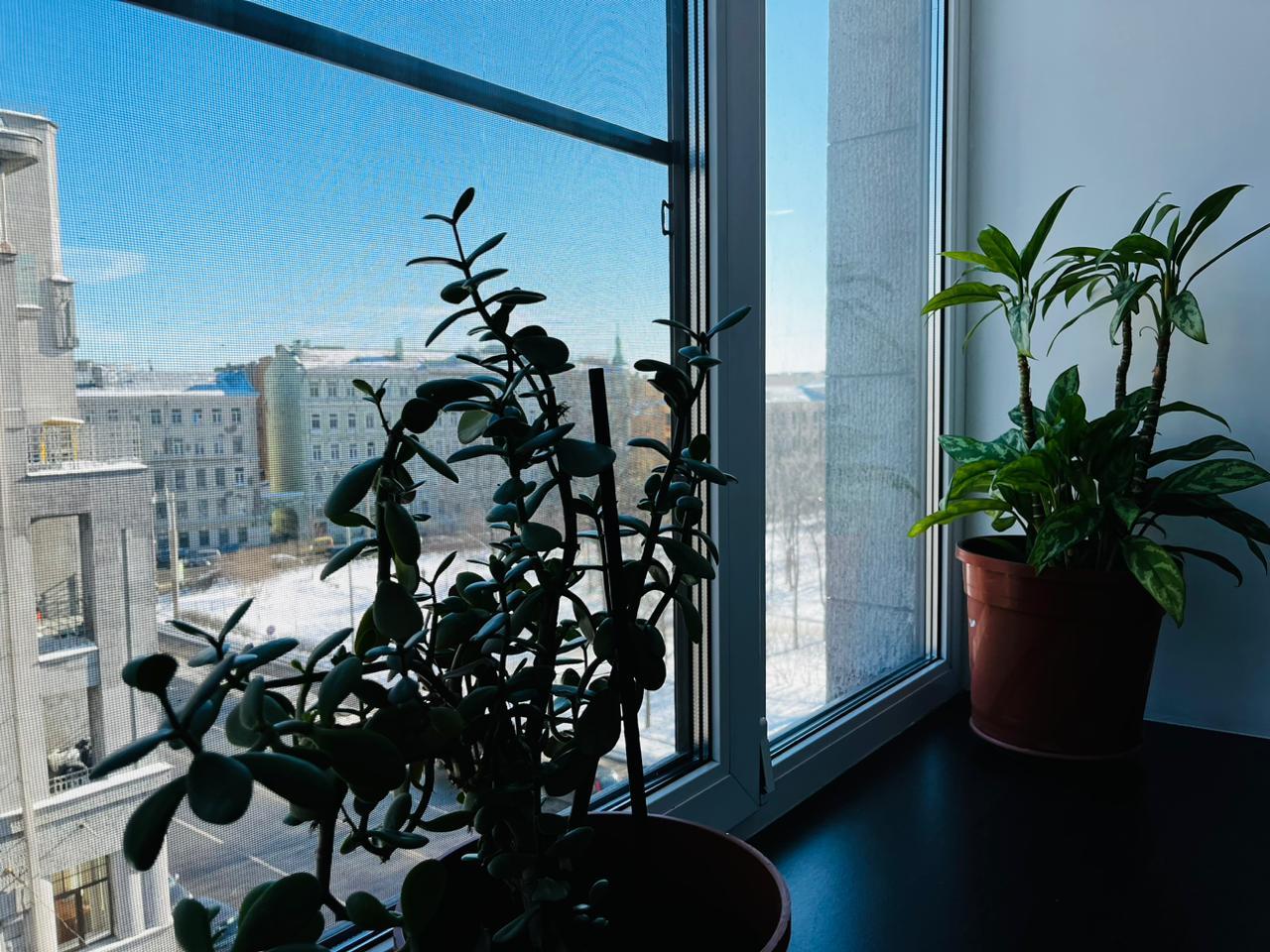 Фото Викена