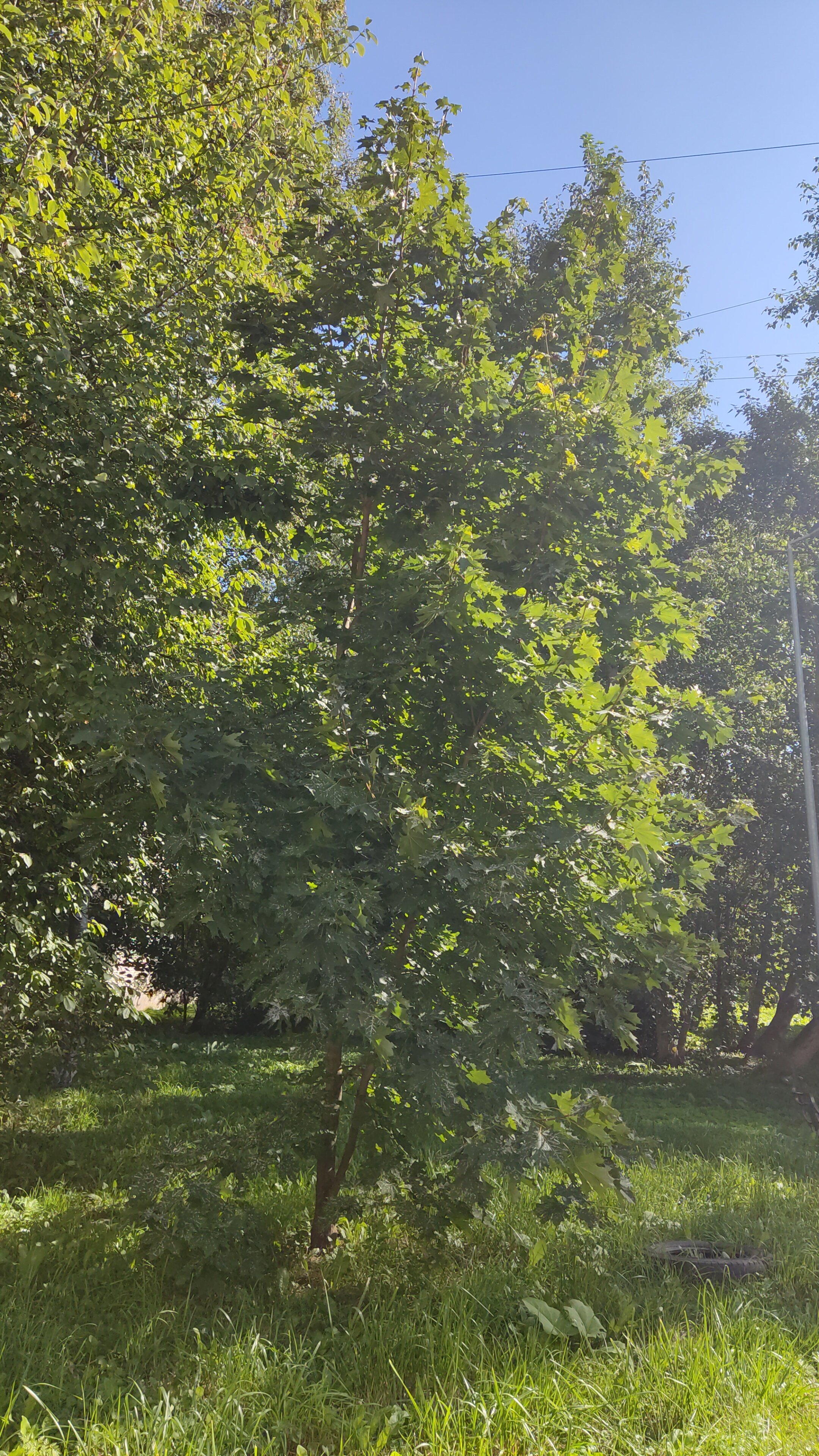 Фото Пулково