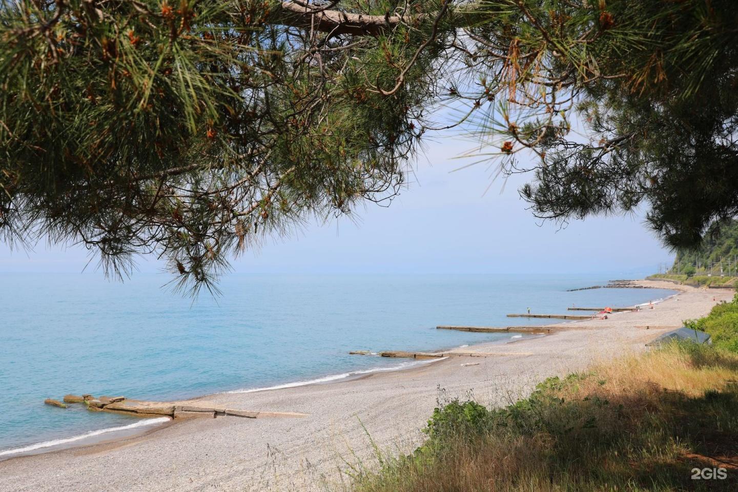 Фото Камбала