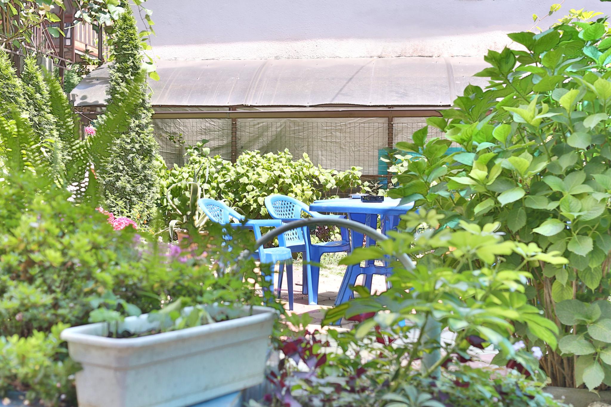 Фото Черномор