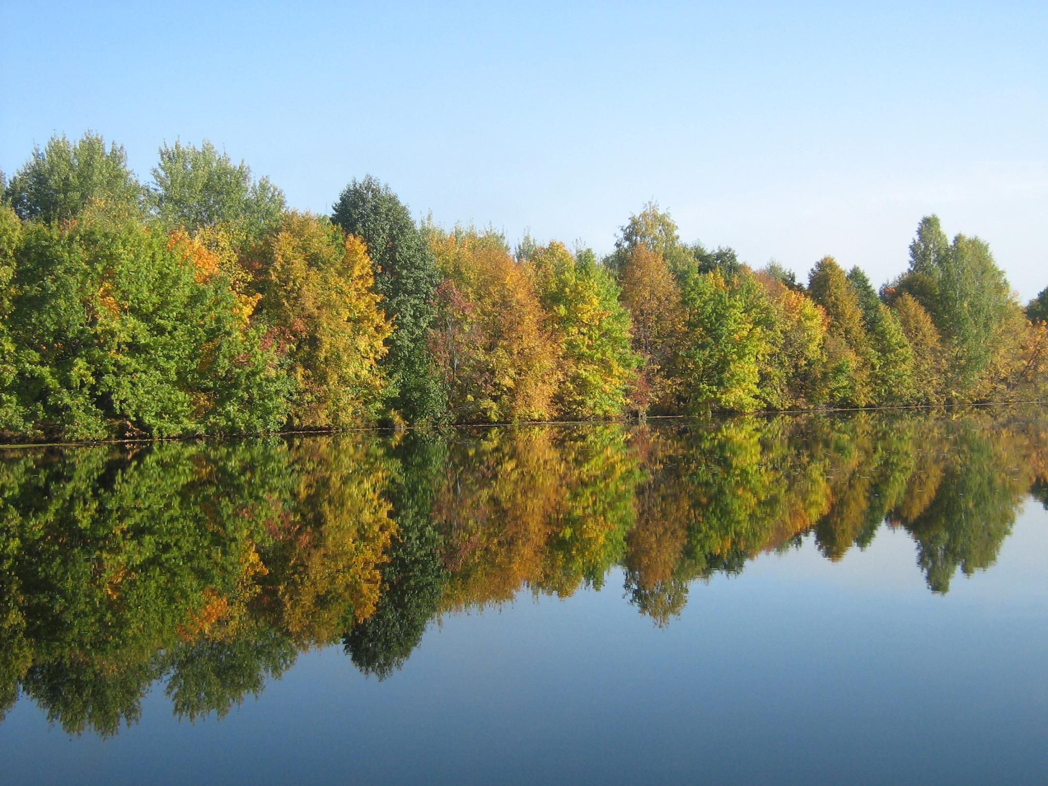 Фото Васильсурская слобода
