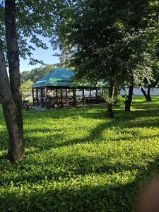 Колос