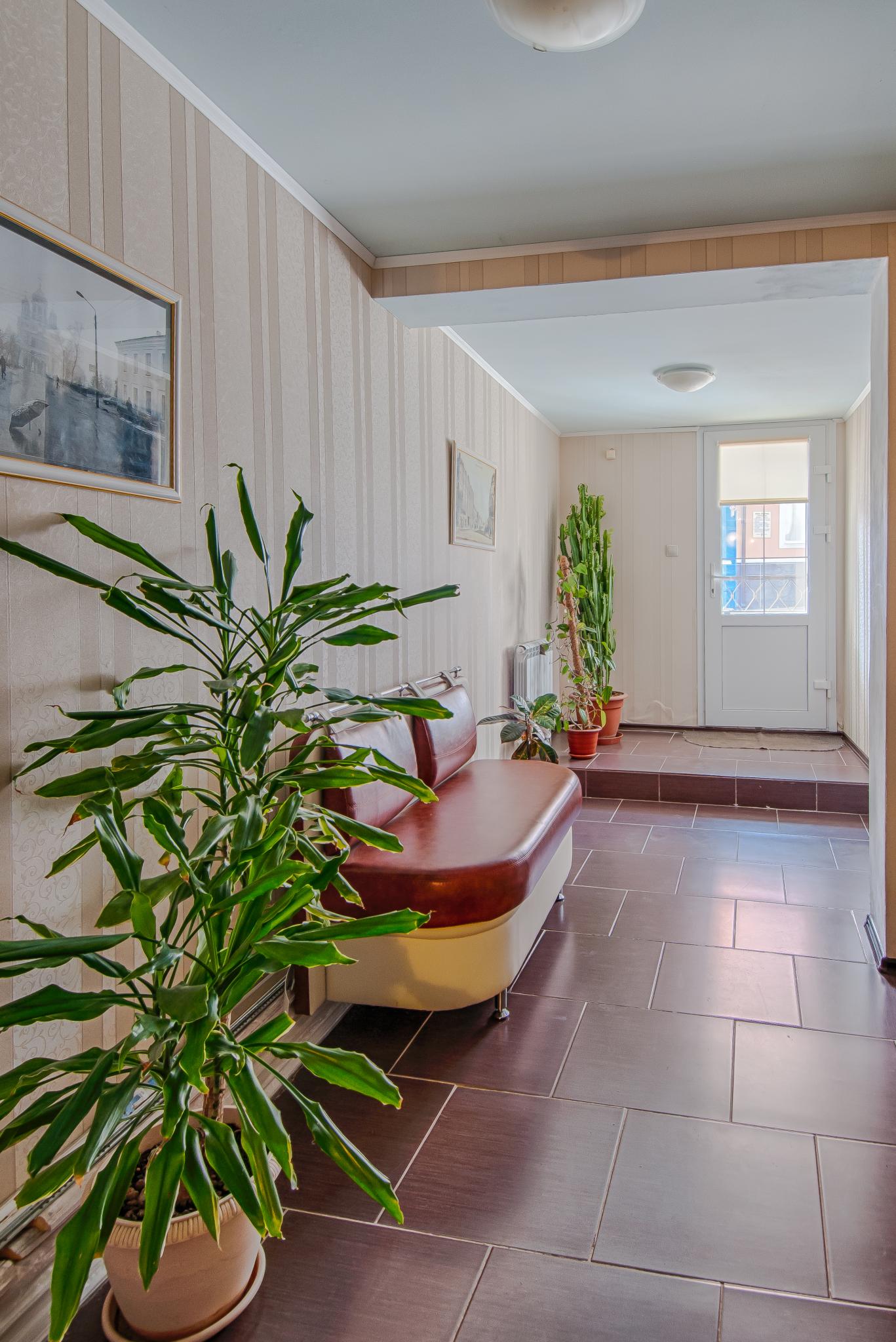 Фото Базилик