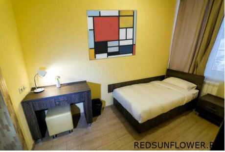 Фото Красный Подсолнух